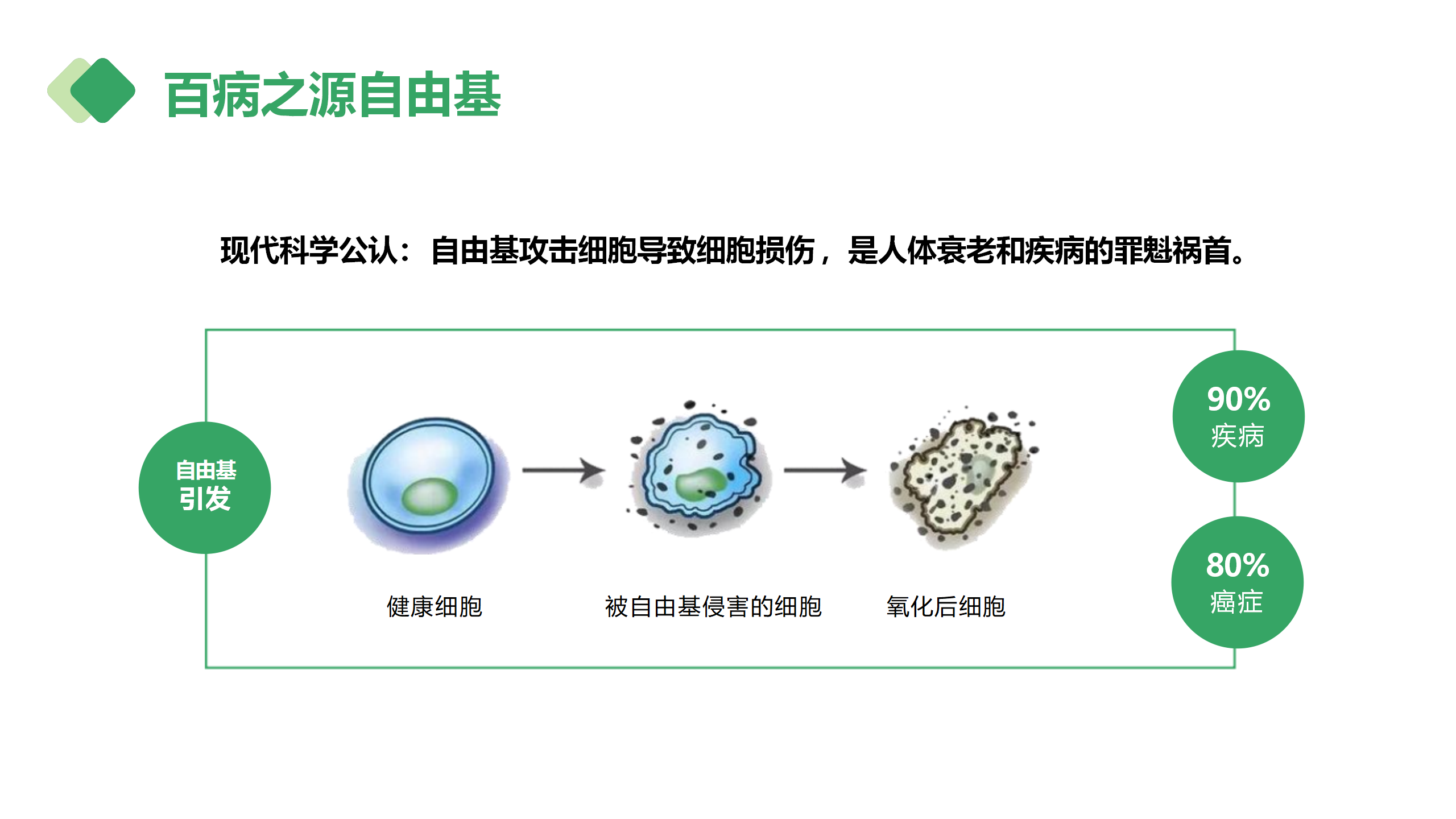 公司介绍-深圳王者生物_04.png